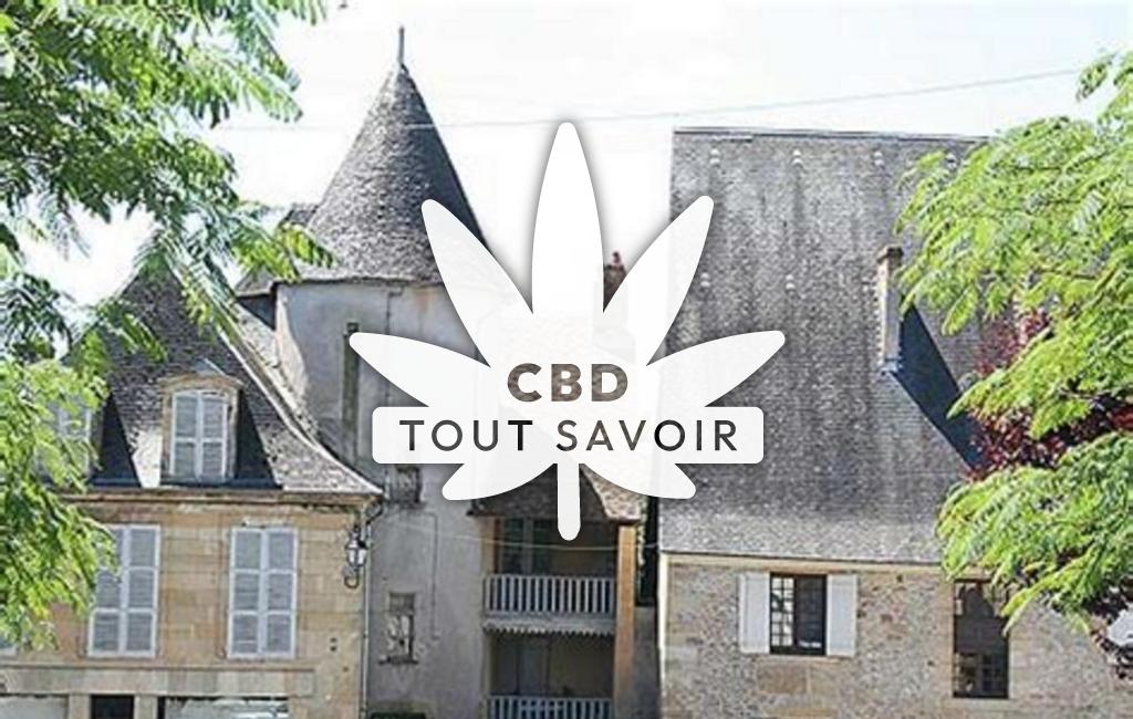 Village à Excideuil avec feuille Cannabis CBD