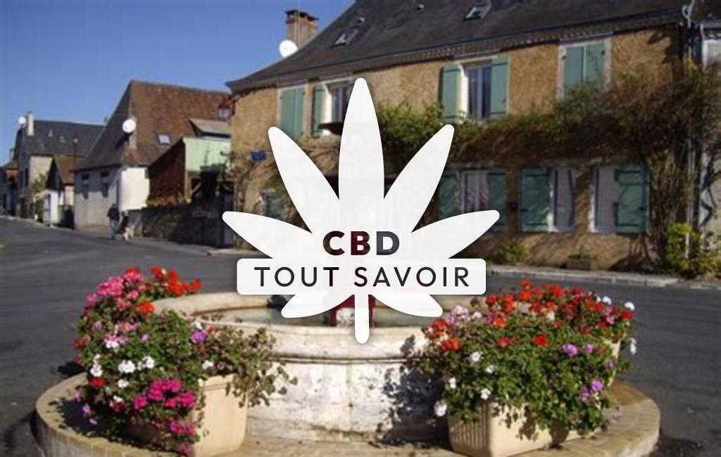 Village à Genis avec feuille Cannabis CBD