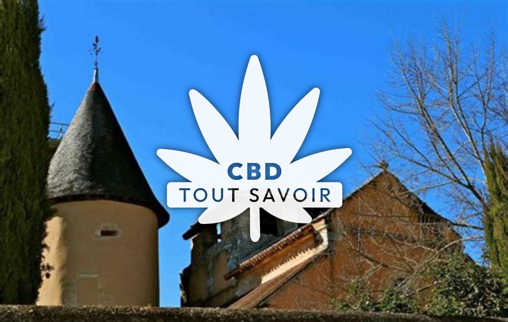 Village à Saint-Jory-Las-Bloux avec feuille Cannabis CBD