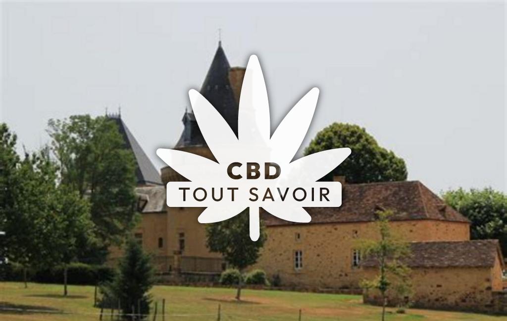Village à Saint-Pardoux-Et-Vielvic avec feuille Cannabis CBD