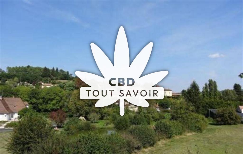 Village à Saint-Germain-du-Salembre avec feuille Cannabis CBD