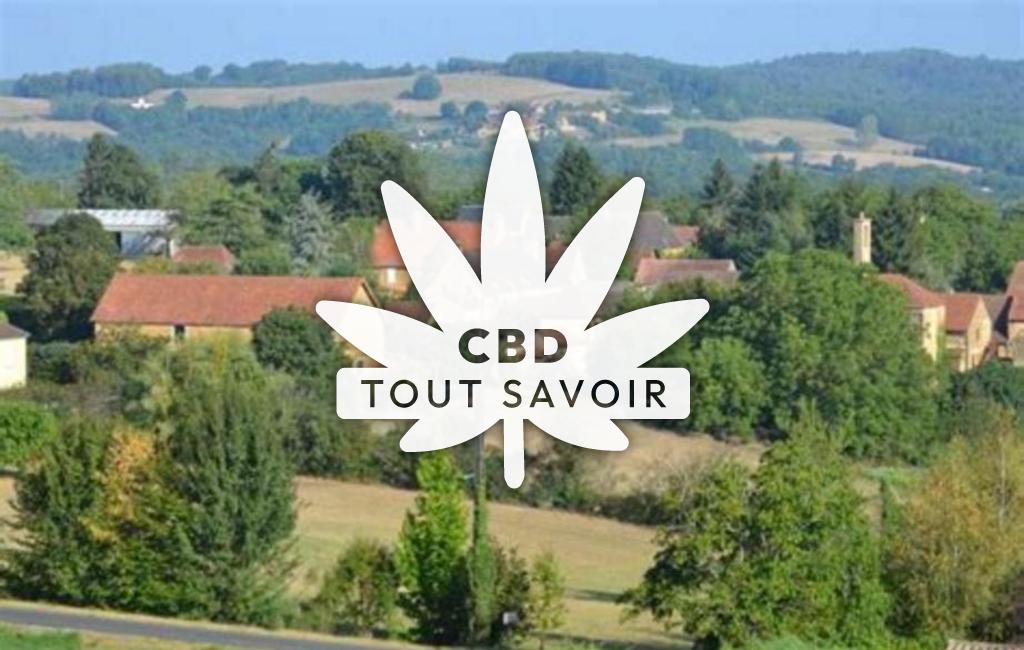 Village à Marcillac-Saint-Quentin avec feuille Cannabis CBD