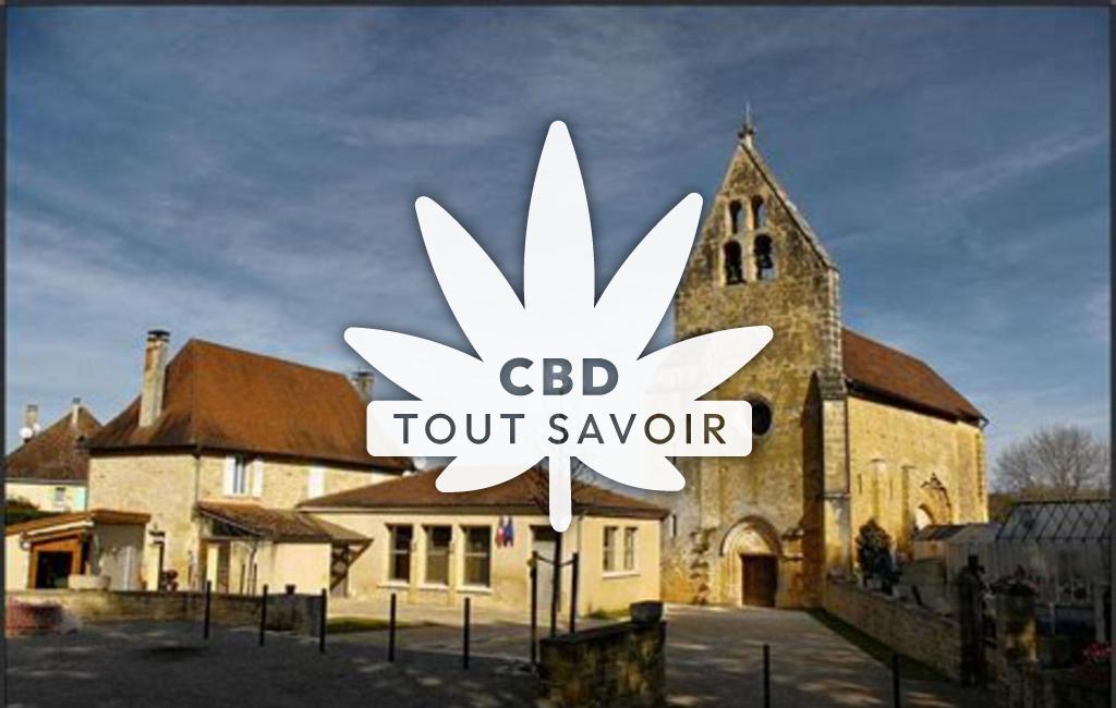 Village à Saint-Vincent-le-Paluel avec feuille Cannabis CBD