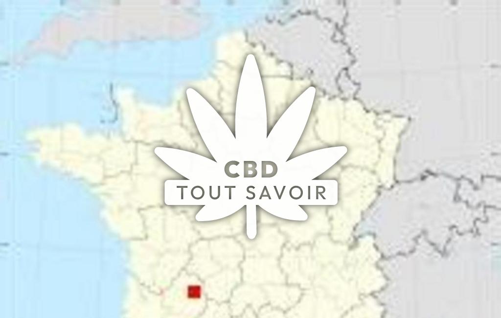 Village à Montagnac-D'Auberoche avec feuille Cannabis CBD