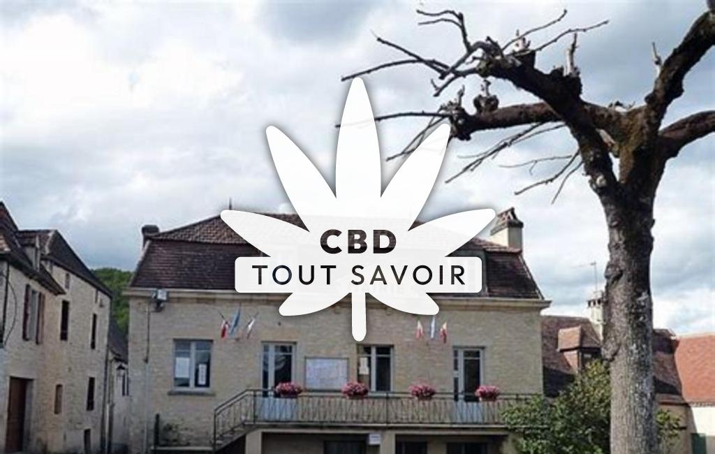 Village à Allas-les-Mines avec feuille Cannabis CBD