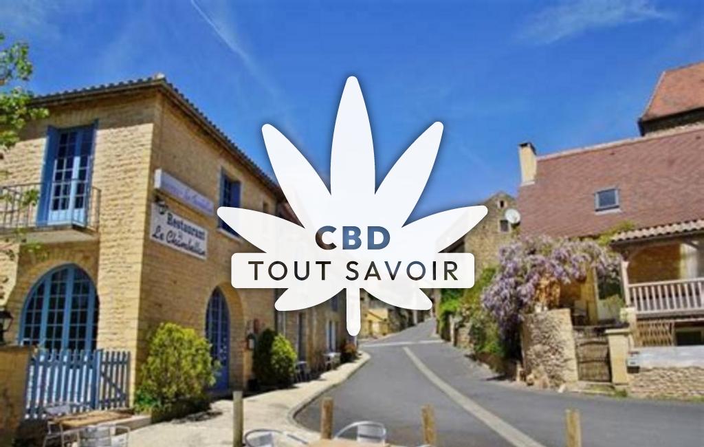 Village à Coux-Et-Bigaroque-Mouzens avec feuille Cannabis CBD