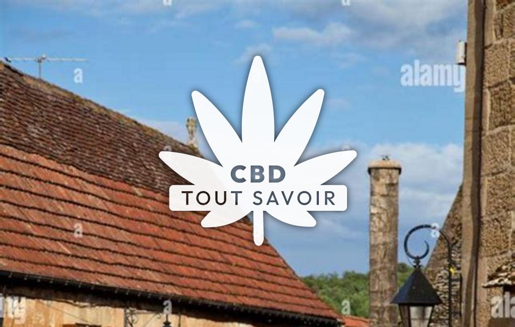 Village à Meyrals avec feuille Cannabis CBD