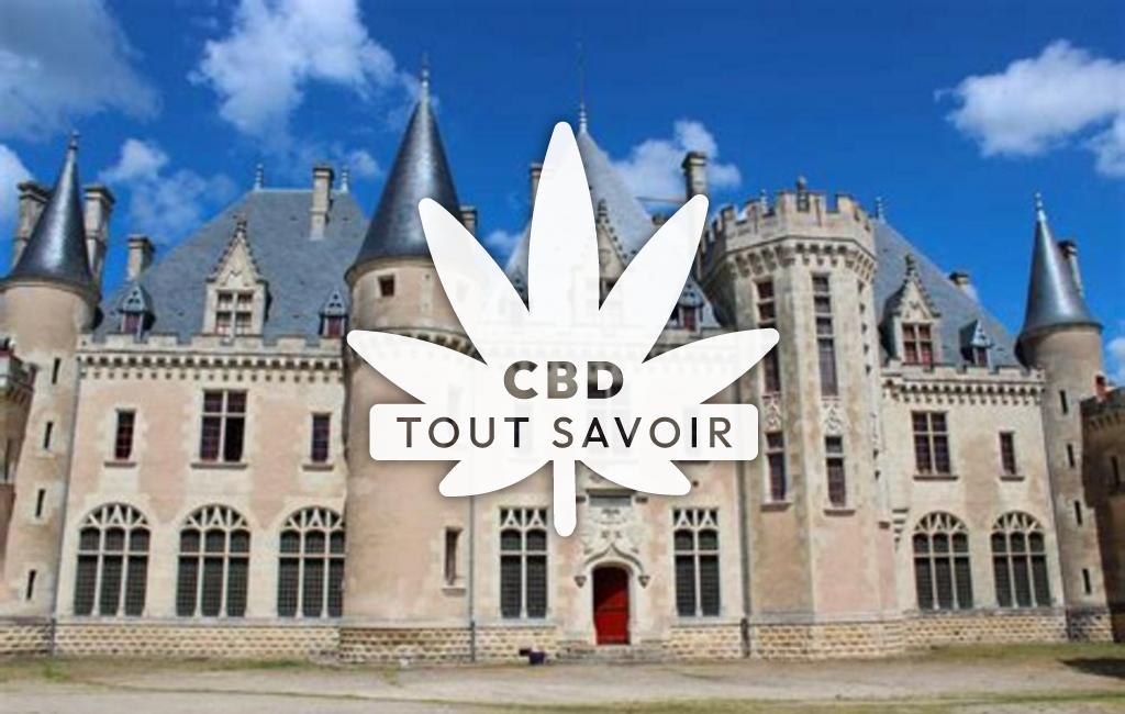 Village à Saint-Michel-de-Montaigne avec feuille Cannabis CBD