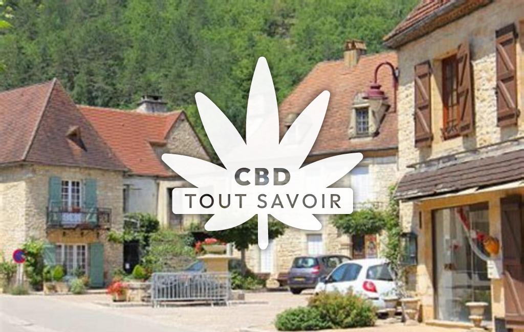 Village à Daglan avec feuille Cannabis CBD
