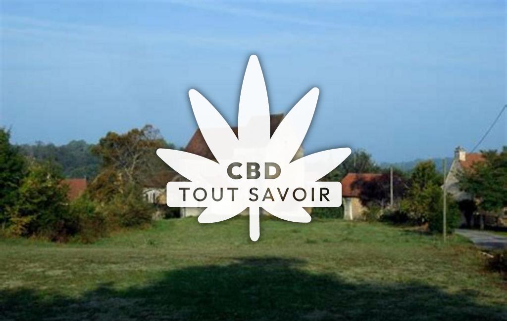 Village à Florimont-Gaumier avec feuille Cannabis CBD