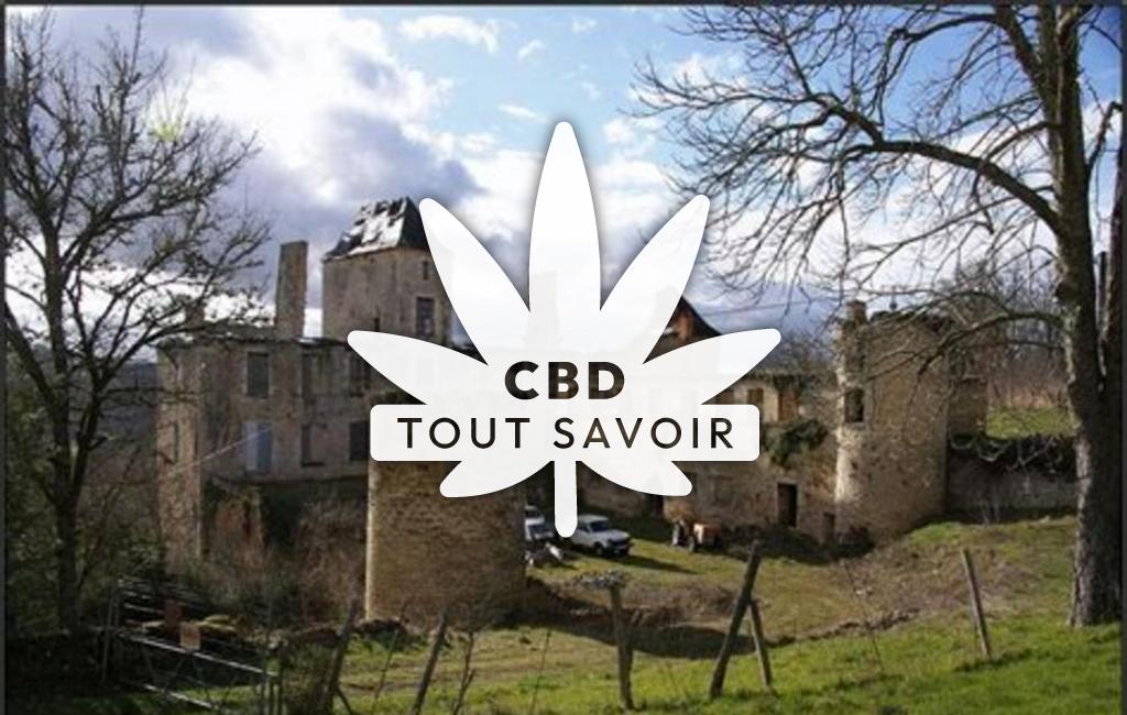 Village à Saint-Aubin-de-Nabirat avec feuille Cannabis CBD