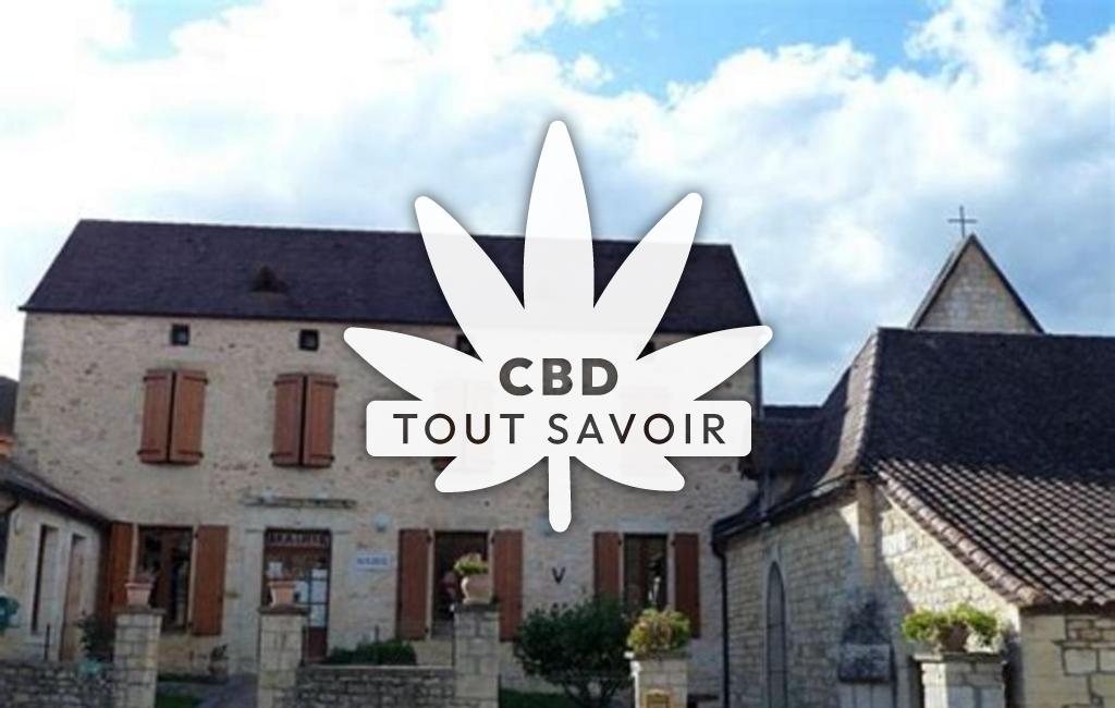 Village à Veyrines-de-Domme avec feuille Cannabis CBD