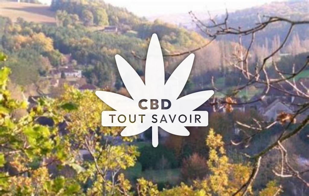 Village à Journiac avec feuille Cannabis CBD
