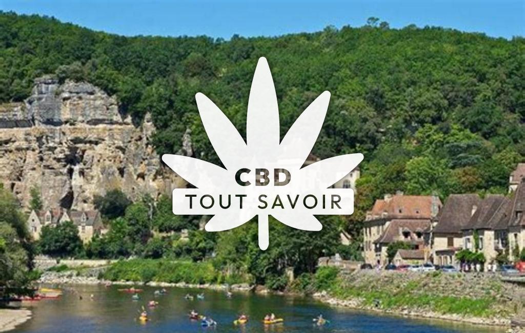 Village à Saint-Avit-de-Vialard avec feuille Cannabis CBD