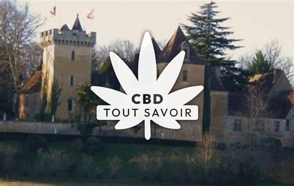 Village à Saint-Chamassy avec feuille Cannabis CBD