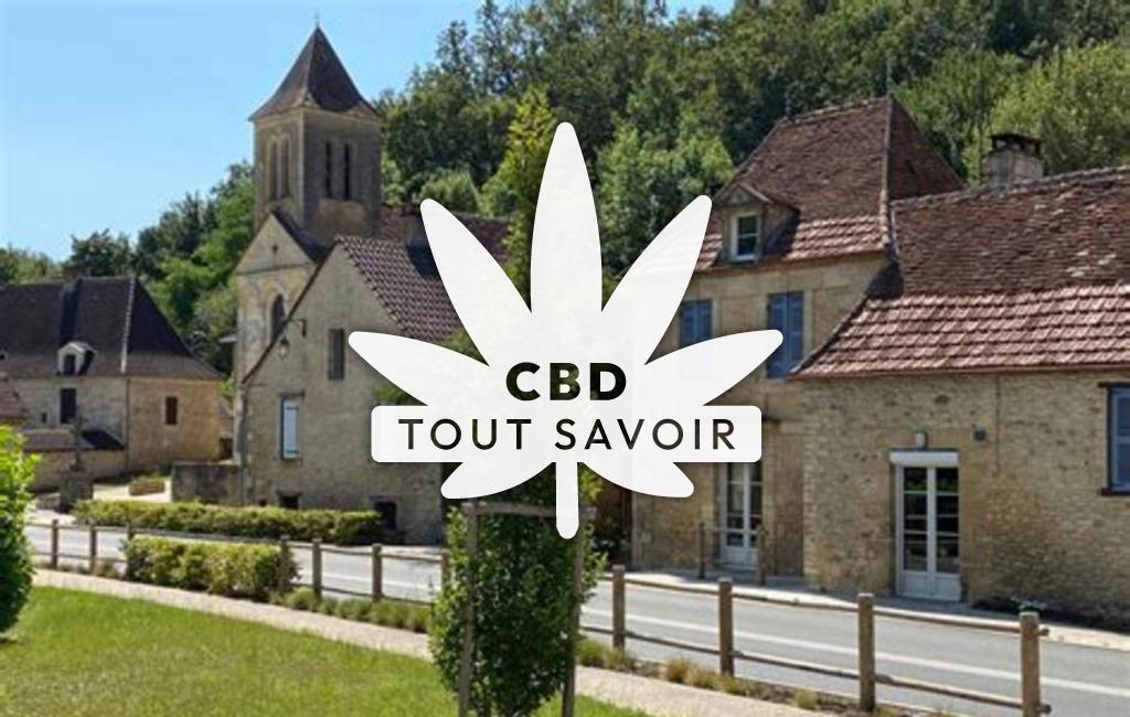 Village à Saint-Felix-de-Reillac-Et-Mortemart avec feuille Cannabis CBD
