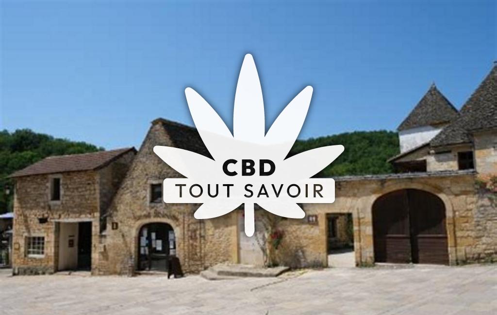 Village à Coly-Saint-Amand avec feuille Cannabis CBD