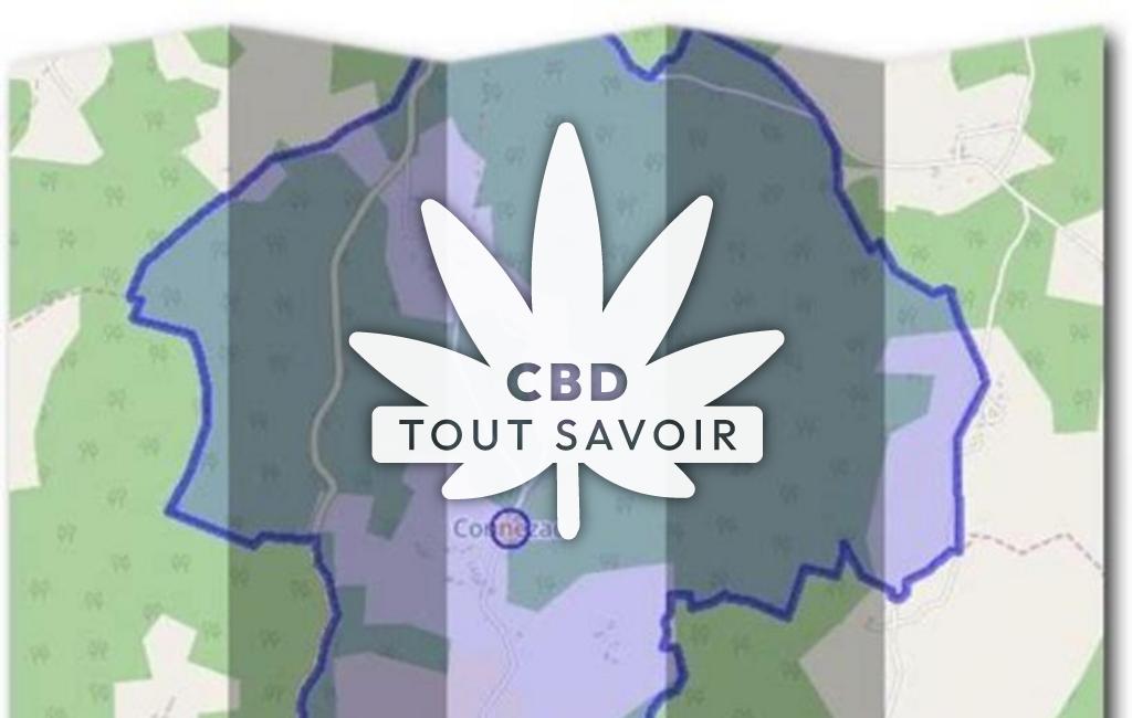 Village à Connezac avec feuille Cannabis CBD