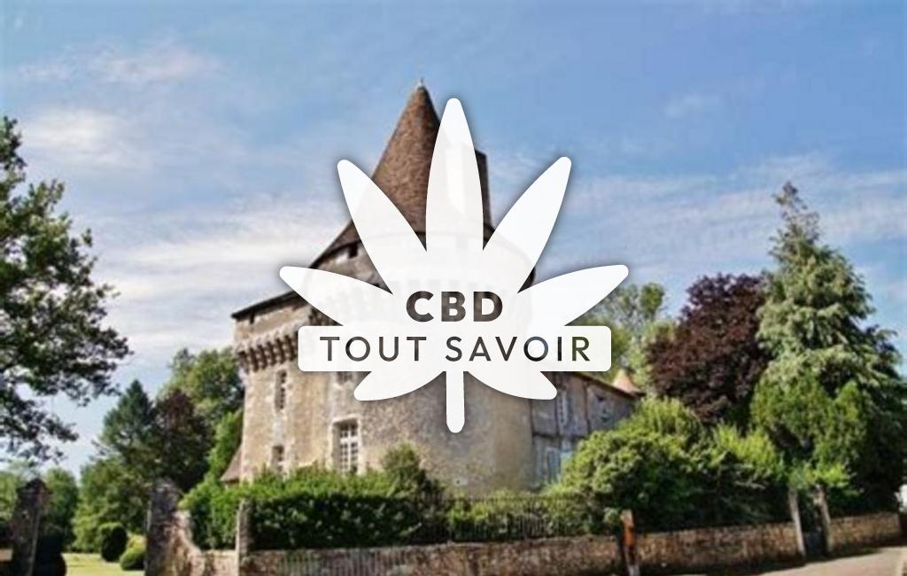 Village à Javerlhac-Et-la-Chapelle-Saint-Robert avec feuille Cannabis CBD