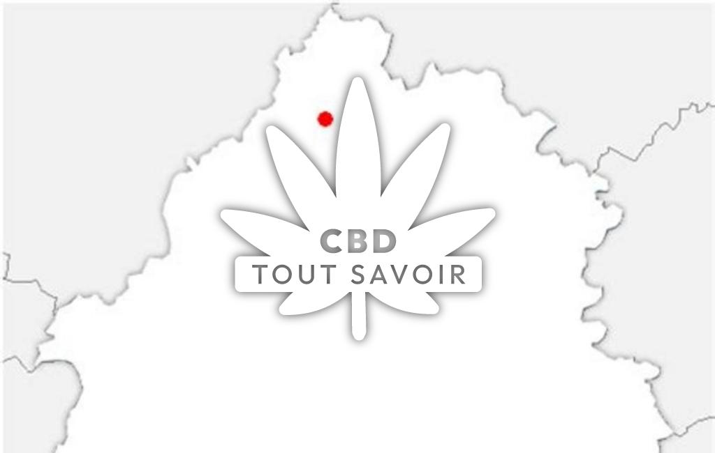 Village à Lussas-Et-Nontronneau avec feuille Cannabis CBD