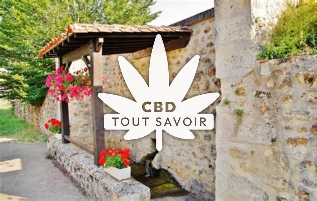Village à Saint-Front-sur-Nizonne avec feuille Cannabis CBD