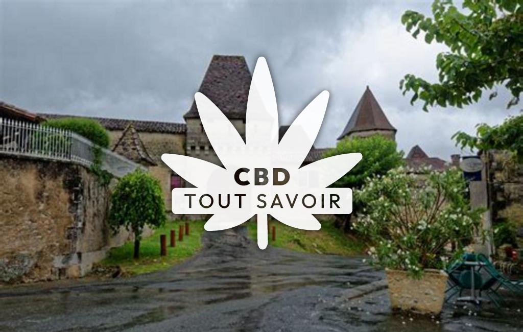 Village à Lusignac avec feuille Cannabis CBD