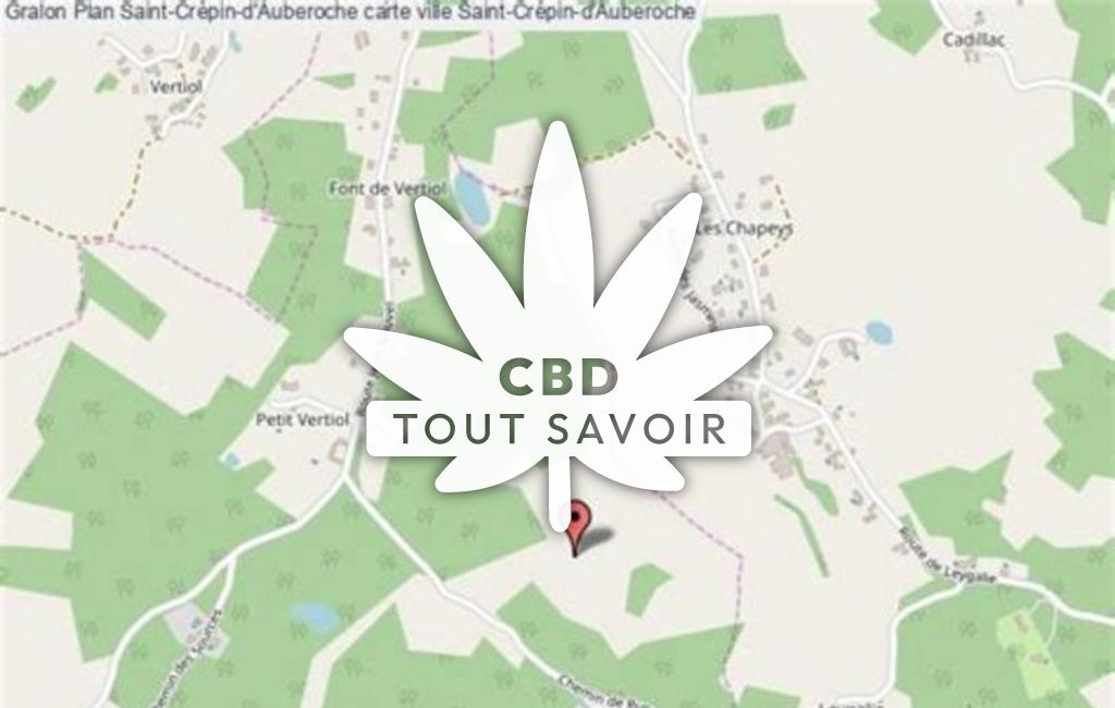 Village à Saint-Crepin-D'Auberoche avec feuille Cannabis CBD