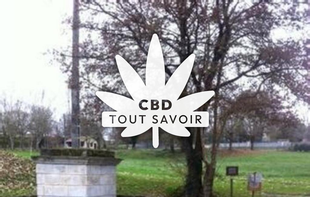 Village à Douchapt avec feuille Cannabis CBD