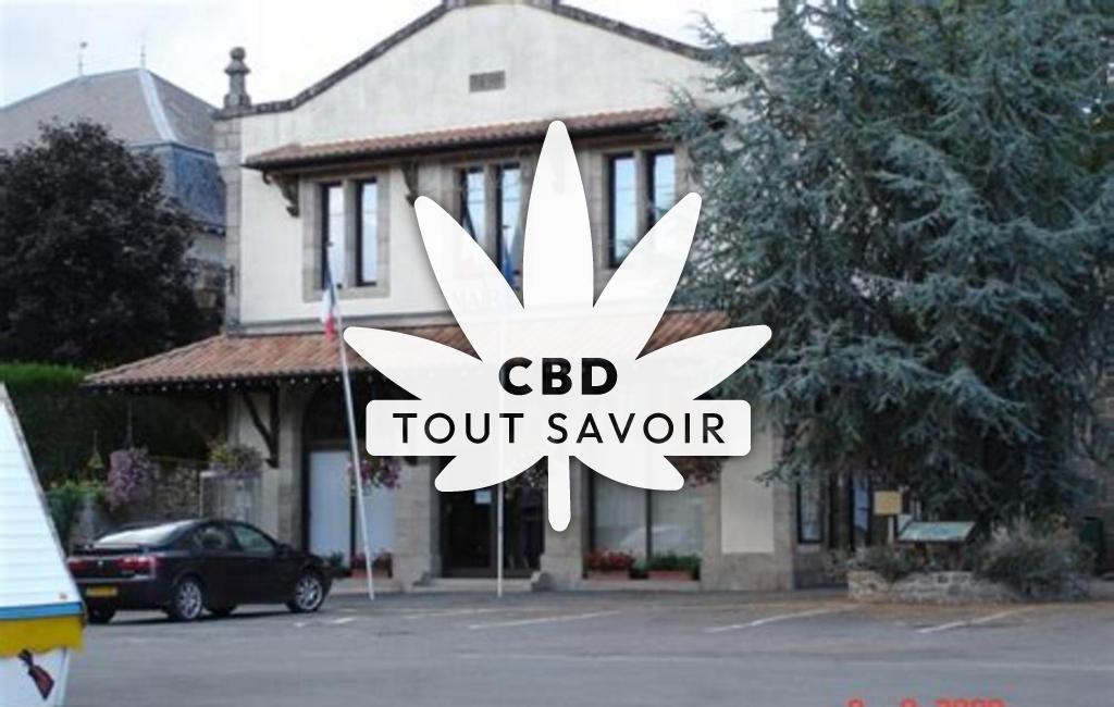 Village à Champniers-Et-Reilhac avec feuille Cannabis CBD