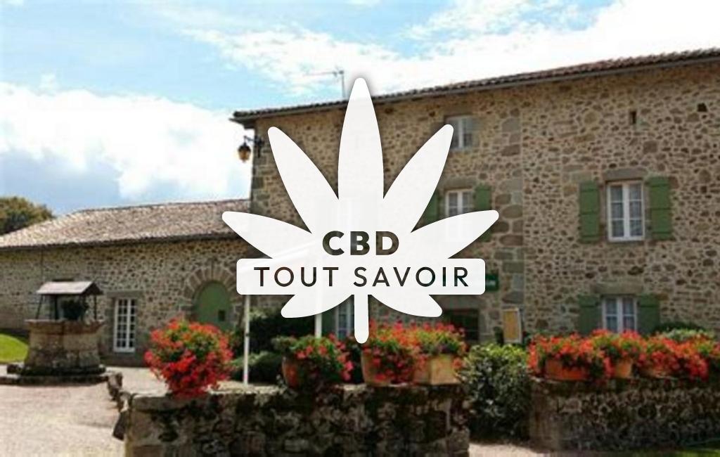 Village à Saint-Barthelemy-de-Bussiere avec feuille Cannabis CBD