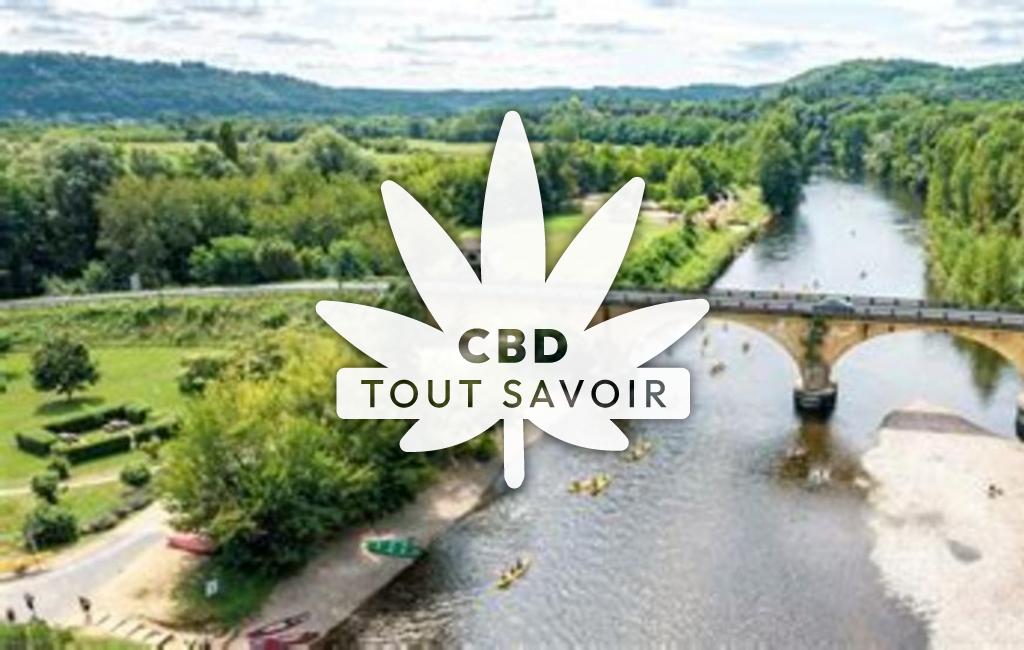 Village à Calviac-en-Perigord avec feuille Cannabis CBD