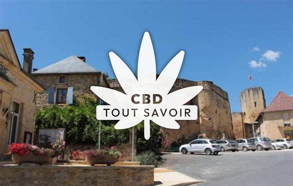 Village à Prats-de-Carlux avec feuille Cannabis CBD