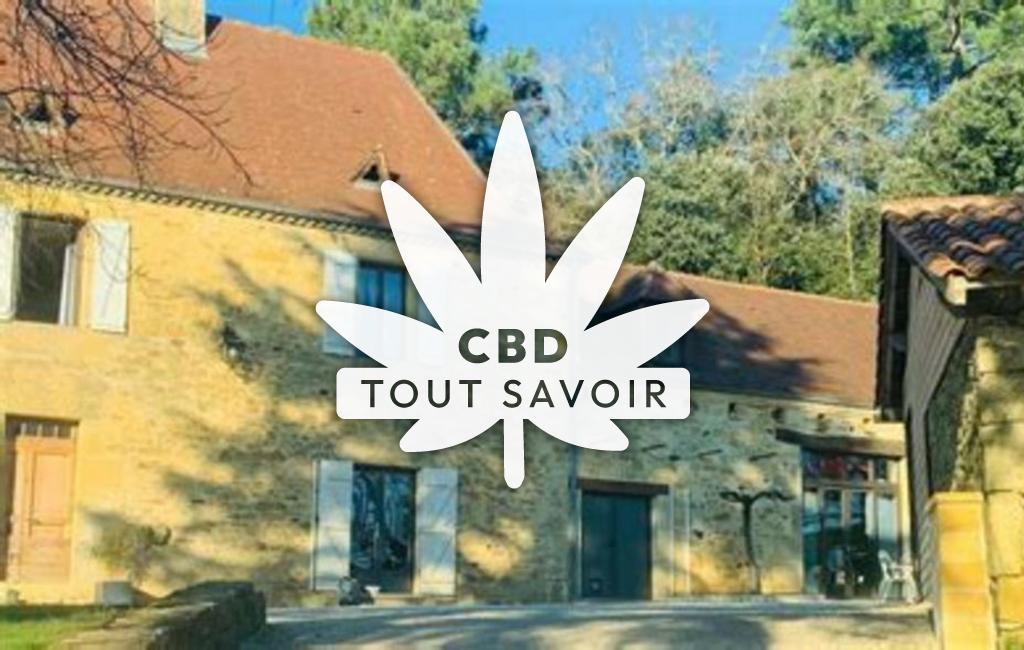 Village à Simeyrols avec feuille Cannabis CBD