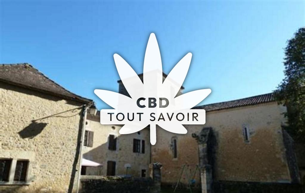 Village à Saint-Amand-de-Vergt avec feuille Cannabis CBD