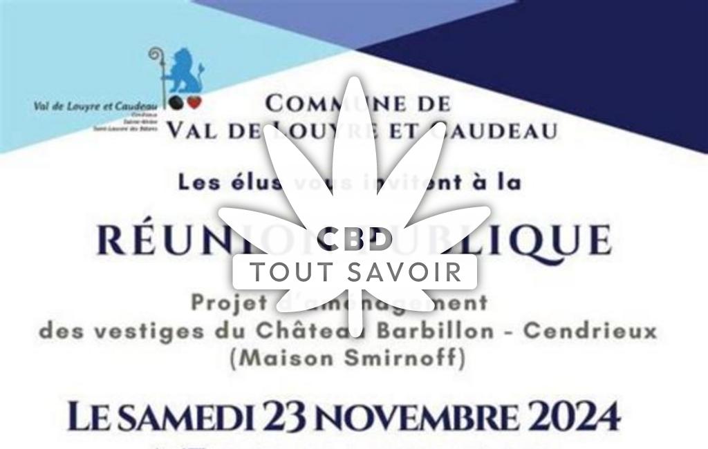 Village à Val-de-Louyre-Et-Caudeau avec feuille Cannabis CBD