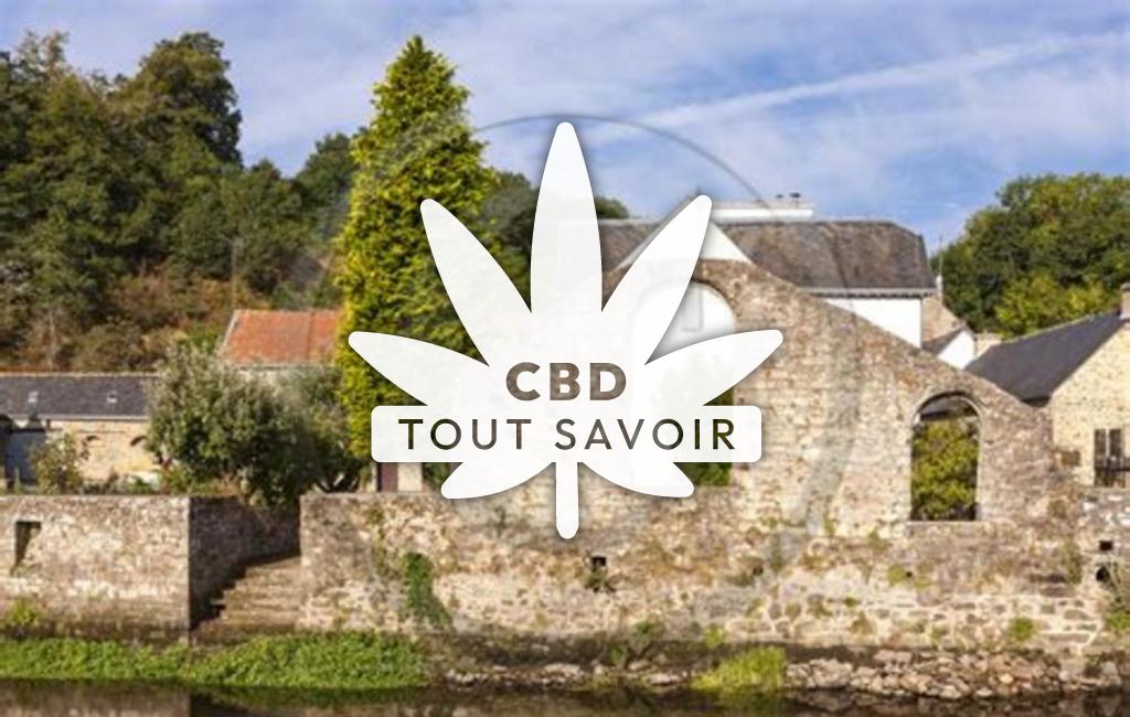 Village à La-Chapelle-Saint-Jean avec feuille Cannabis CBD