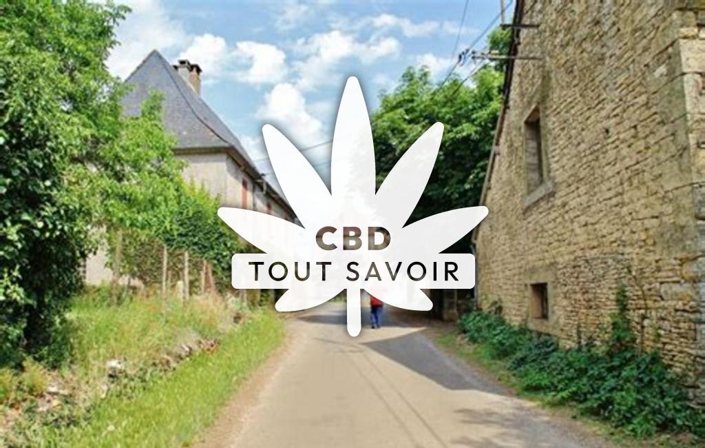 Village à Temple-Laguyon avec feuille Cannabis CBD