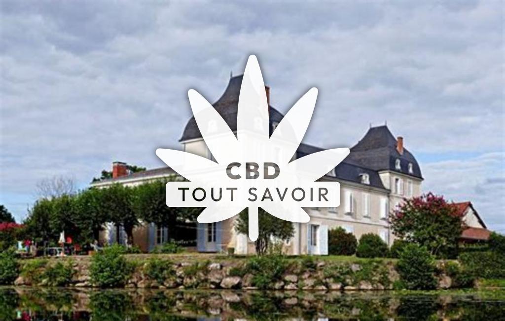 Village à Saint-Martin-l'Astier avec feuille Cannabis CBD