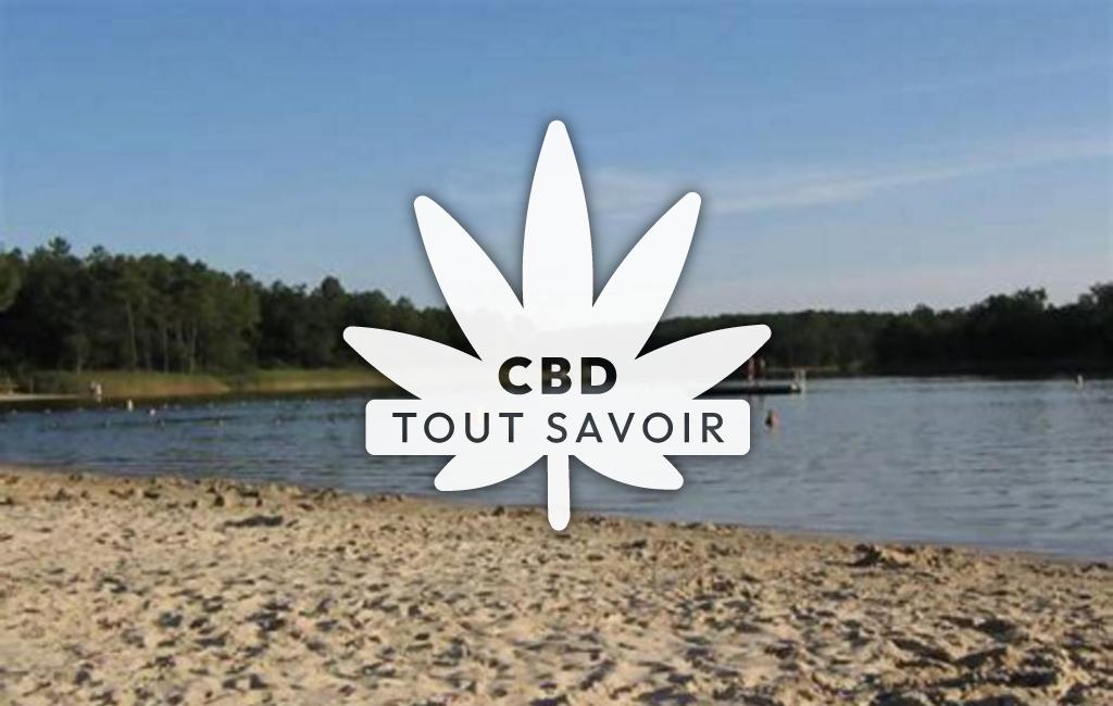 Village à La-Jemaye-Ponteyraud avec feuille Cannabis CBD
