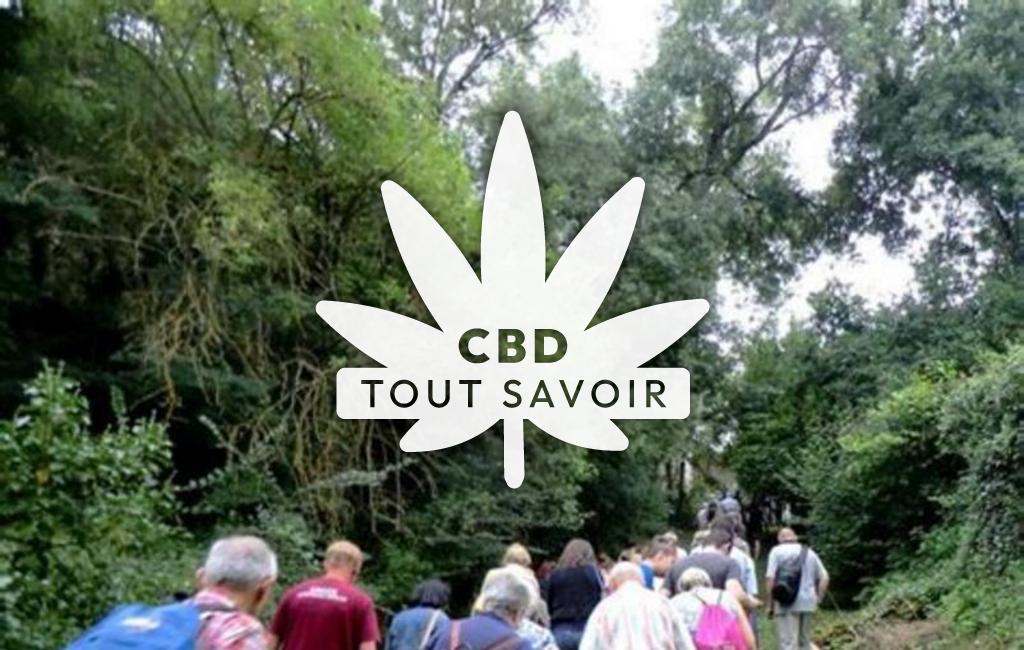 Village à Parcoul-Chenaud avec feuille Cannabis CBD