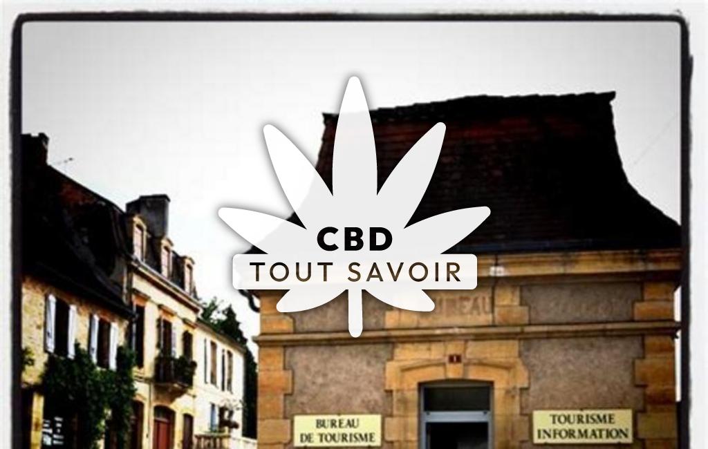 Village à Savignac-les-Eglises avec feuille Cannabis CBD