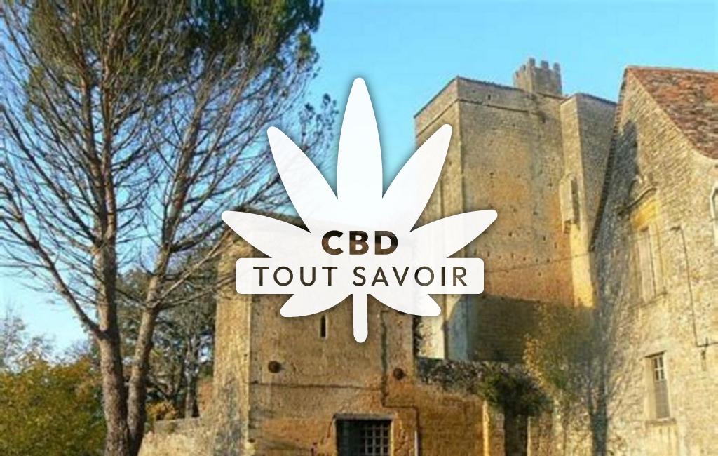 Village à Montferrand-du-Perigord avec feuille Cannabis CBD