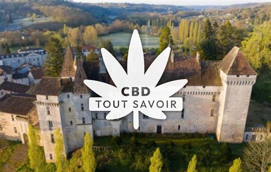 Village à Chateau-l'Eveque avec feuille Cannabis CBD