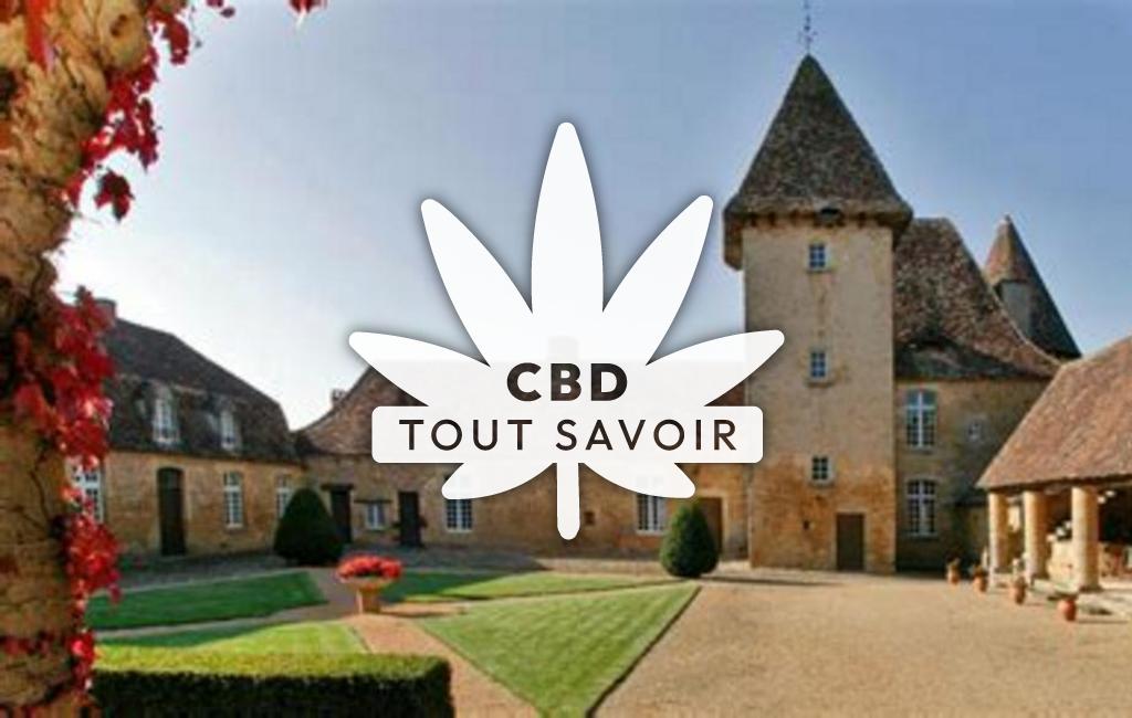 Village à Le-Buisson-de-Cadouin avec feuille Cannabis CBD