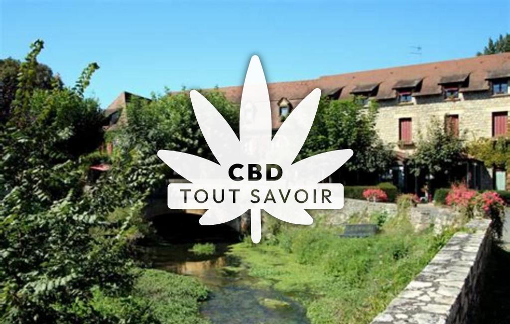 Village à Saint-Felix-de-Villadeix avec feuille Cannabis CBD
