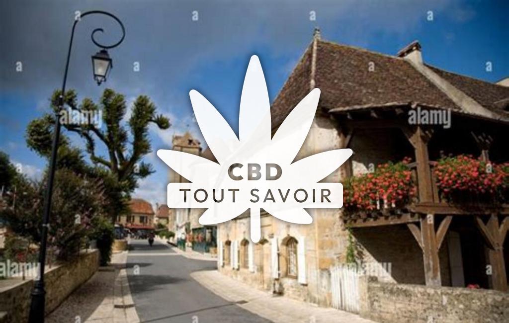 Village à Tremolat avec feuille Cannabis CBD
