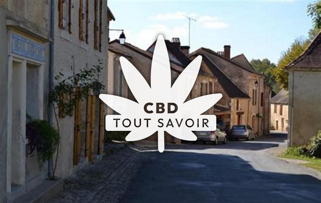 Village à Lamonzie-Montastruc avec feuille Cannabis CBD