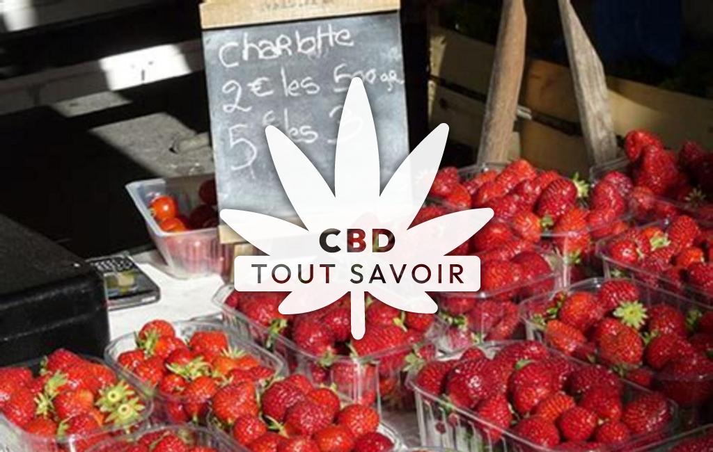 Village à Mouleydier avec feuille Cannabis CBD