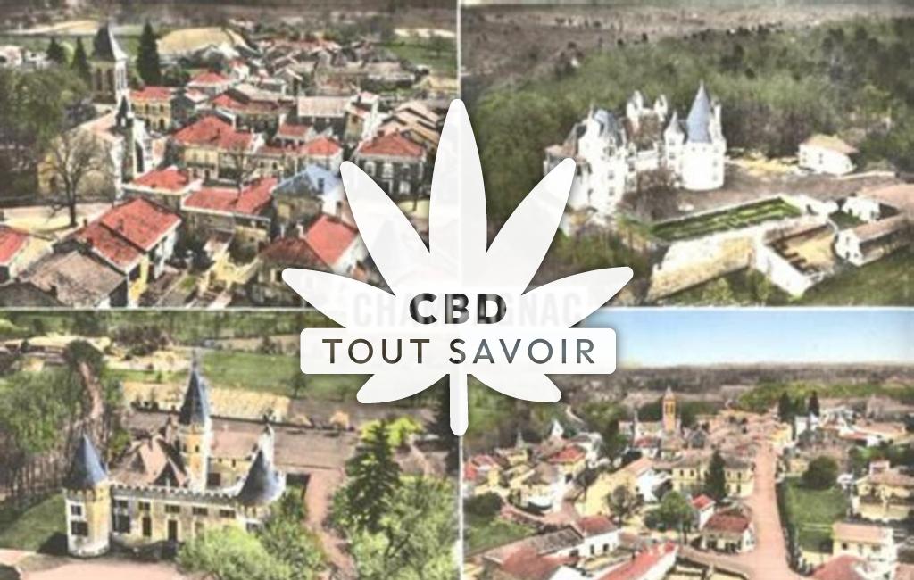 Village à Champagnac-de-Belair avec feuille Cannabis CBD