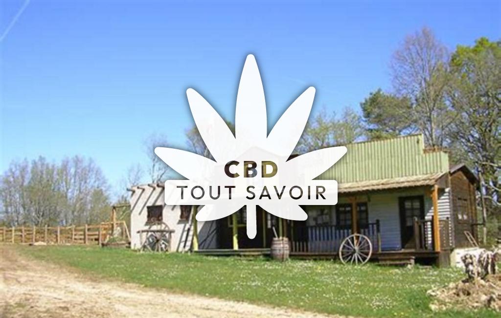 Village à Condat-sur-Trincou avec feuille Cannabis CBD